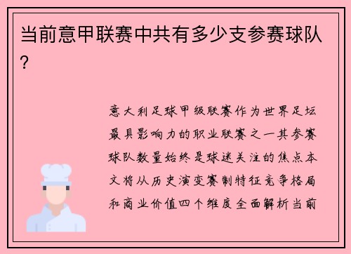当前意甲联赛中共有多少支参赛球队？